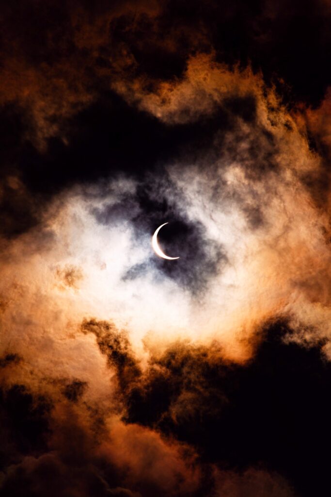 The Wisdom of Job - Stories by Frieda McRae