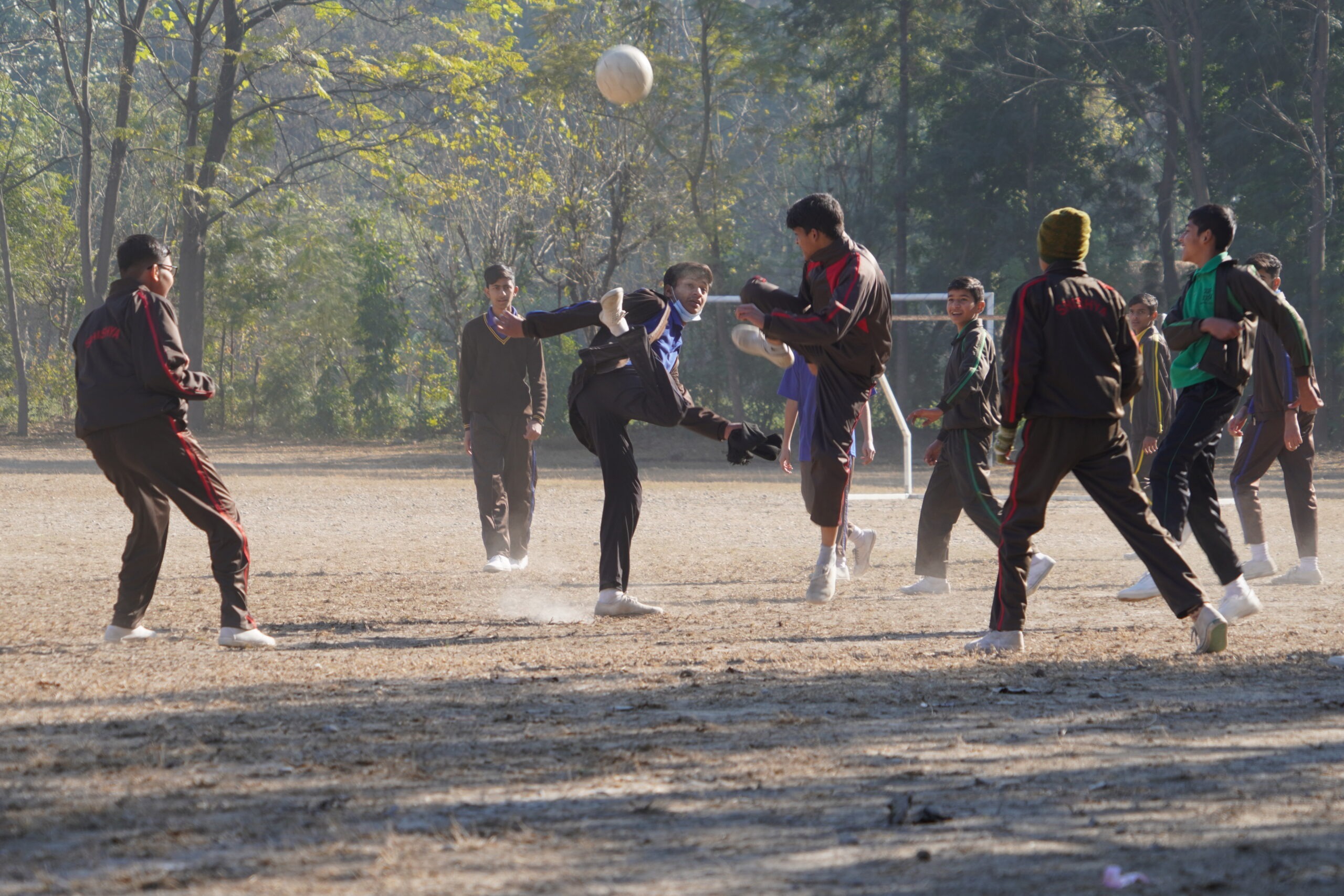 The Sting That Unlocked a Story - Stories by Frieda McRae