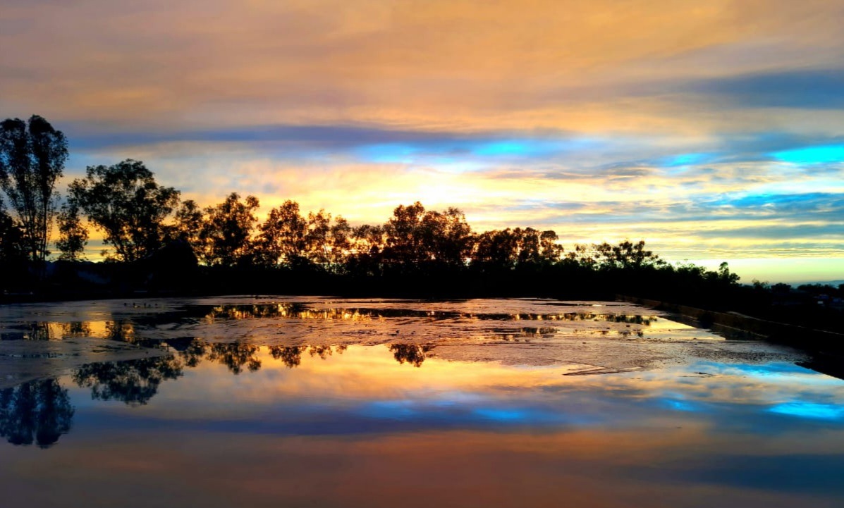 Kamla's Cup - Stories by Frieda McRae