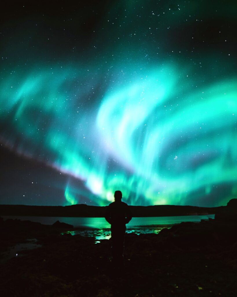 The Wisdom of Job - Stories by Frieda McRae